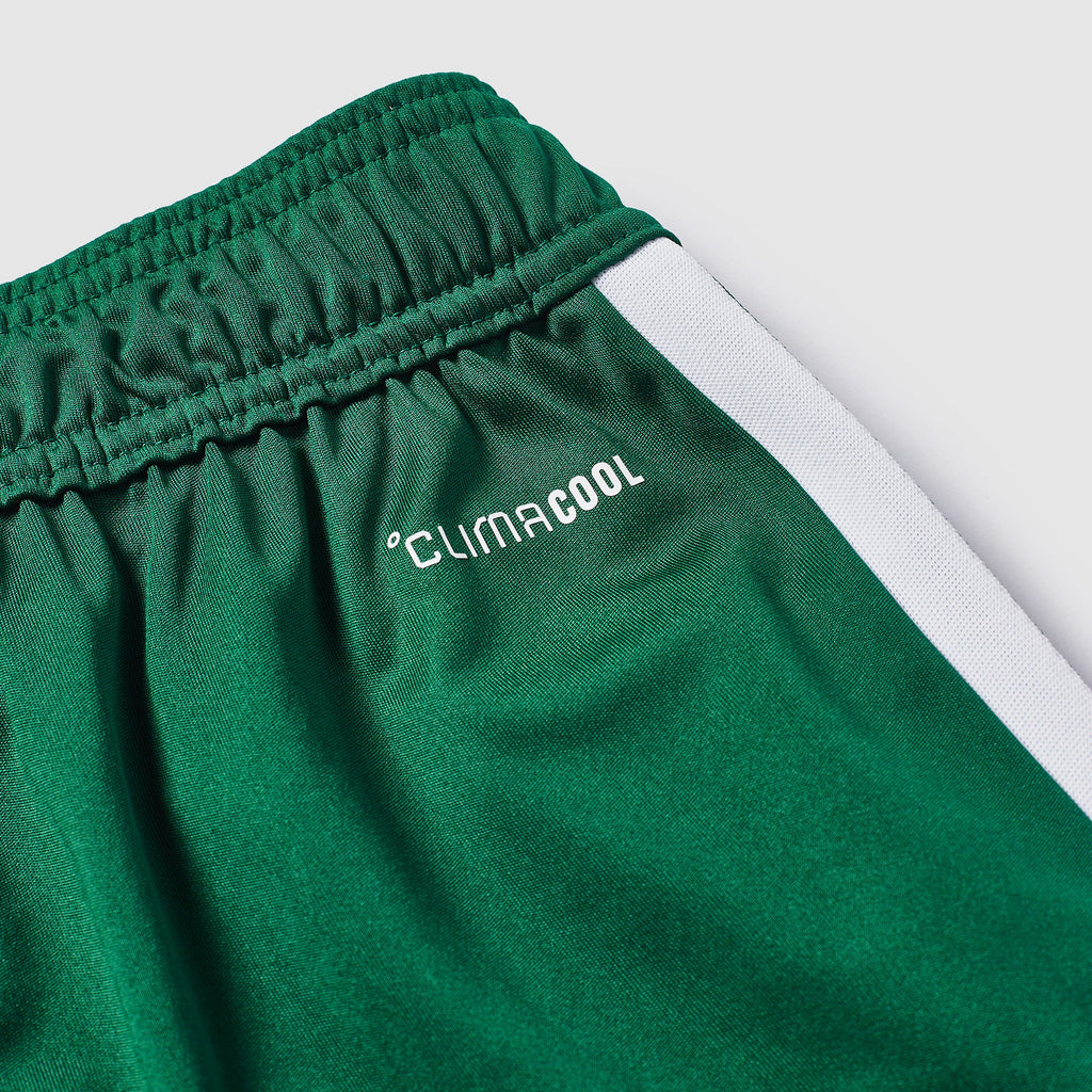 adidas Algeria 2026 Training Shorts
