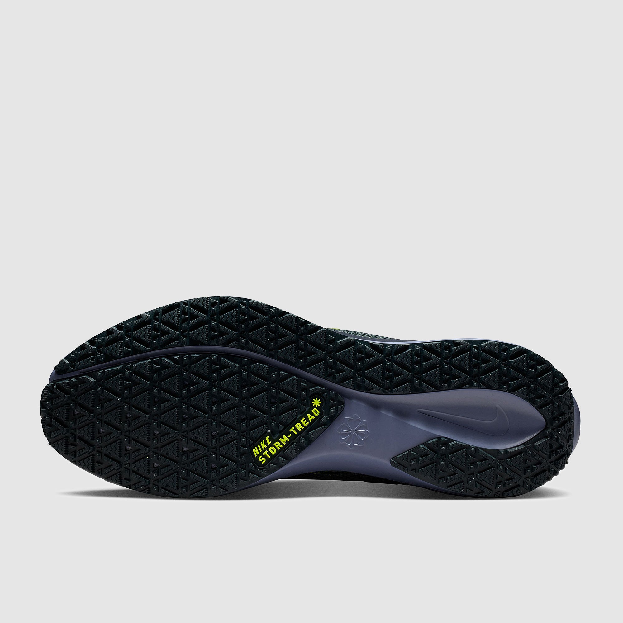 Nike Air Zoom Pegasus 41 GORE-TEX