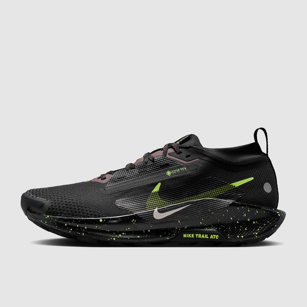 Nike Pegasus Trail 5 GORE-TEX